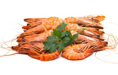 Kaynamış karides beyaz arkaplanda izole edildi 