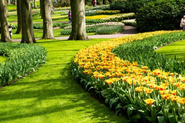 Hollanda 'da baharda güzel bir park 