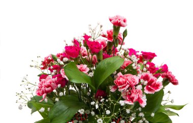 Güzel karanfil demeti ve beyaz arka planda izole güller. 