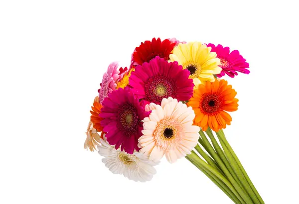 Gerbera Bouquet Isoliert Auf Weißem Hintergrund lizenzfreie Stockbilder