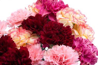 beyaz arkaplanda izole edilmiş karanfil beyaz arkaplan 