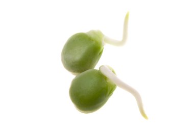 Beyaz arkaplanda filizlenmiş bezelyeler 