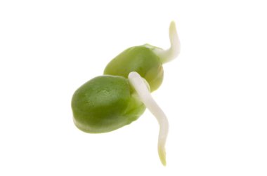 Beyaz arkaplanda filizlenmiş bezelyeler 