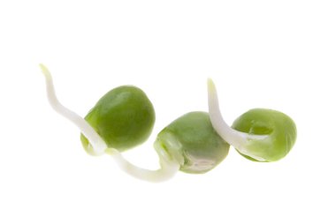 Beyaz arkaplanda filizlenmiş bezelyeler 