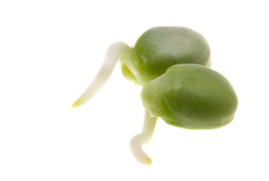 Beyaz arkaplanda filizlenmiş bezelyeler 