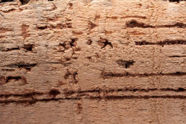 tıpa deseninin arkaplanı kapat 