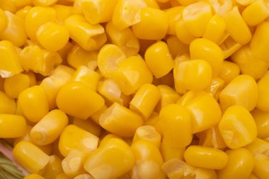 Konserve mısır beyaz arkaplanda izole 