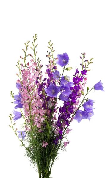 Bouquet Meadow Flowers Isolated White Background — Stock Photo, Image