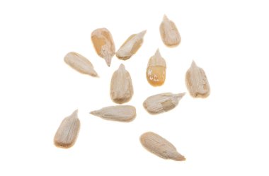 Beyaz arkaplanda izole edilmiş ayçiçeği tohumları 