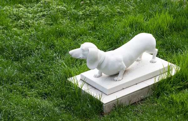 Памятник Собаке Зеленой Траве — стоковое фото
