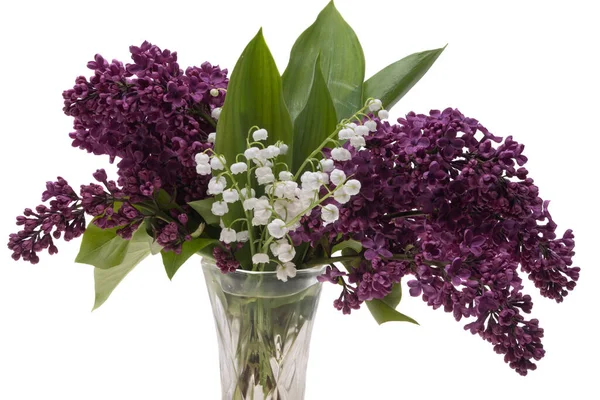 Fleurs Lilas Isolées Sur Fond Blanc — Photo