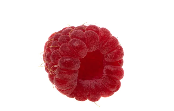 Framboise Mûre Isolée Sur Fond Blanc — Photo