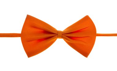 Beyaz arkaplanda yay kelebeği 