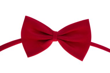 Beyaz arkaplanda yay kelebeği 