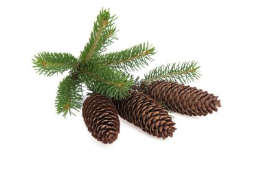 Beyaz arkaplanda izole edilmiş Noel konileri 