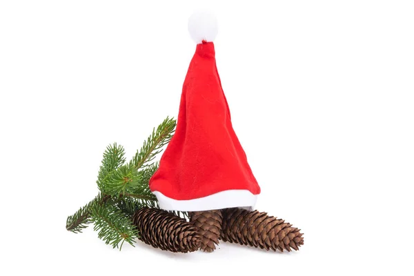 Christmas Cones Isolated White Background — Stock Photo, Image