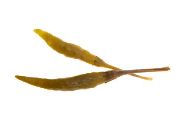 Beyaz arka planda izole edilmiş turşulu biber 