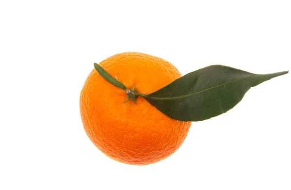 Mandarino Con Foglie Isolate Fondo Bianco — Foto Stock
