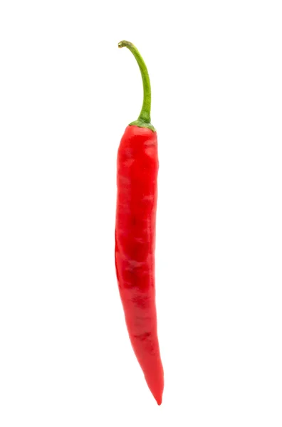 Pimiento chile —  Fotos de Stock