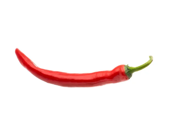 Chili peper — Stockfoto