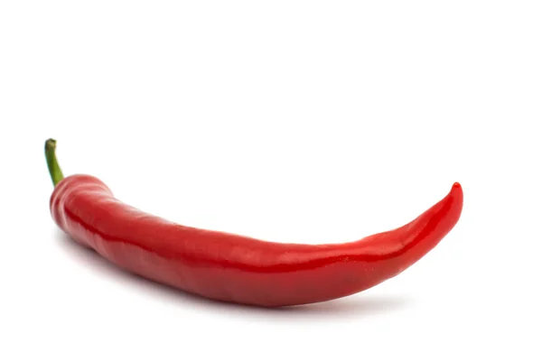 Pimiento chile — Foto de Stock