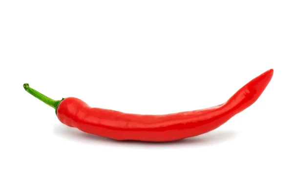 Chili pepper — Stock Photo, Image