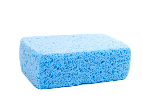 Blue sponge — Stock Photo, Image