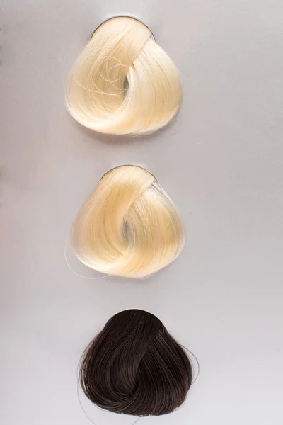 Échantillons de cheveux de différentes couleurs — Photo