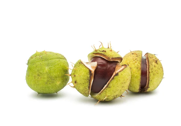 Chestnuts — Stock Photo, Image