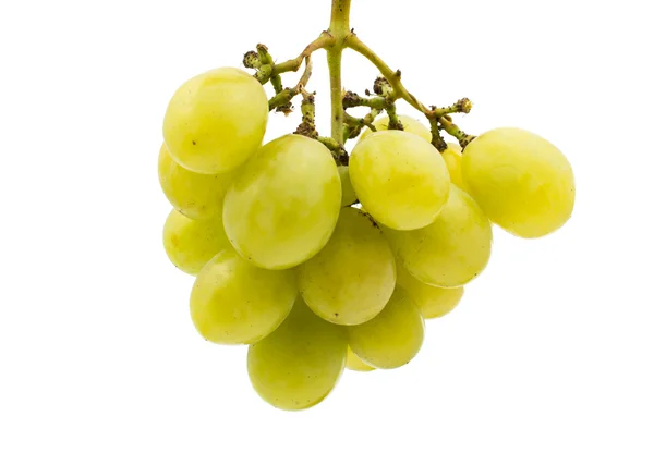 Racimo de uvas — Foto de Stock