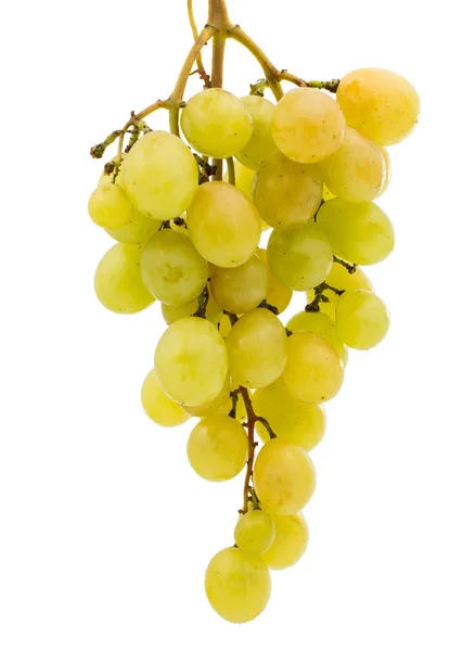 Bunch of grapes — Stock Photo, Image