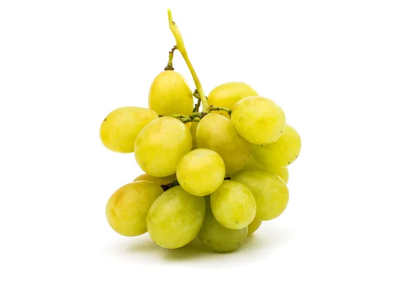 Bunch of grapes — Stock Photo, Image