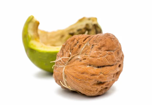 Walnut — Stock Photo, Image