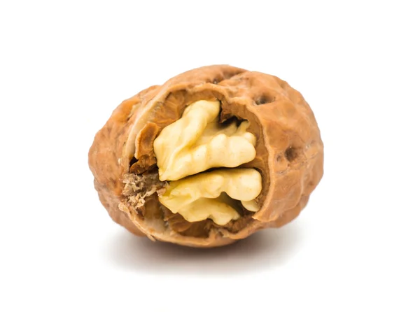 Walnut — Stock Photo, Image