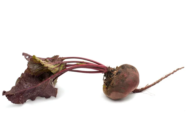 Red beet with leaves — Stock Photo, Image