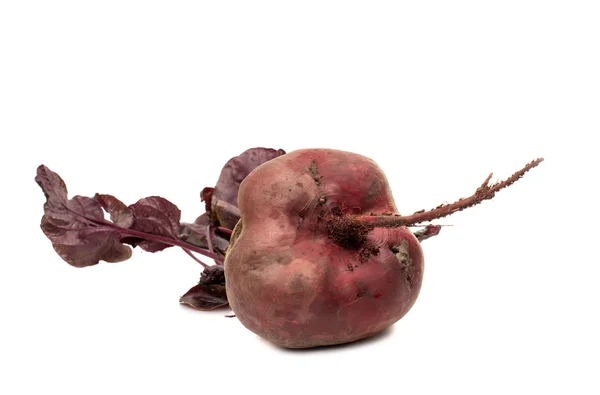 Remolacha roja con hojas — Foto de Stock