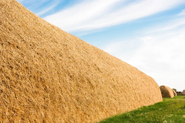 Large stack of straw — Stock Photo, Image