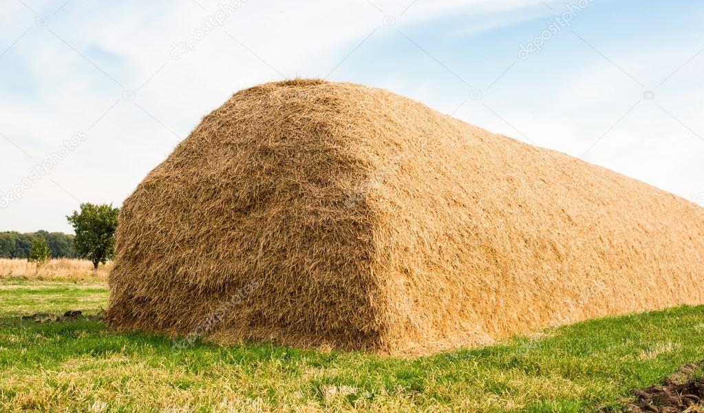 large stack of straw