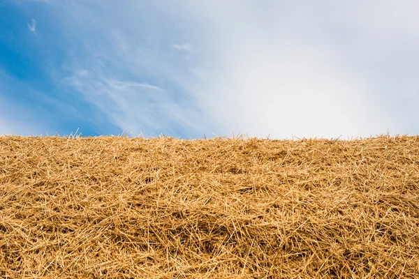 Large stack of straw — Stock Photo, Image