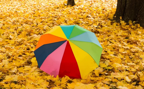 Зонтик на осенних листьях — стоковое фото