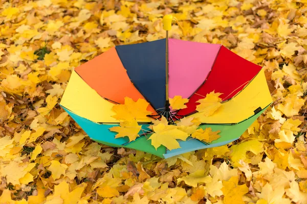 A colorful umbrella