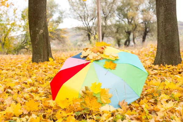 Красочный зонтик — стоковое фото