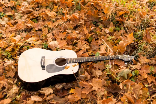 Gitar üzerinde sonbahar yaprakları — Stok fotoğraf