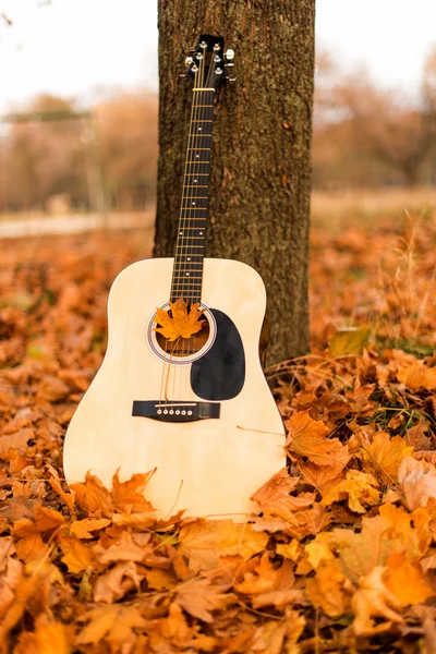 Guitarra en hojas de otoño — Foto de Stock