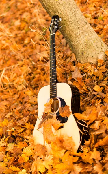 Gitarre auf Herbstblättern — Stockfoto