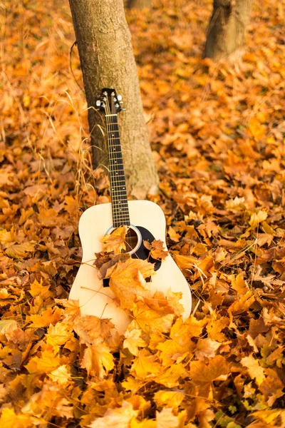 Guitarra en hojas de otoño — Foto de Stock