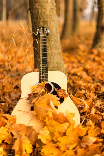 Gitarre auf Herbstblättern — Stockfoto