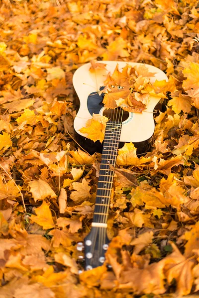 Guitarra en hojas de otoño — Foto de Stock