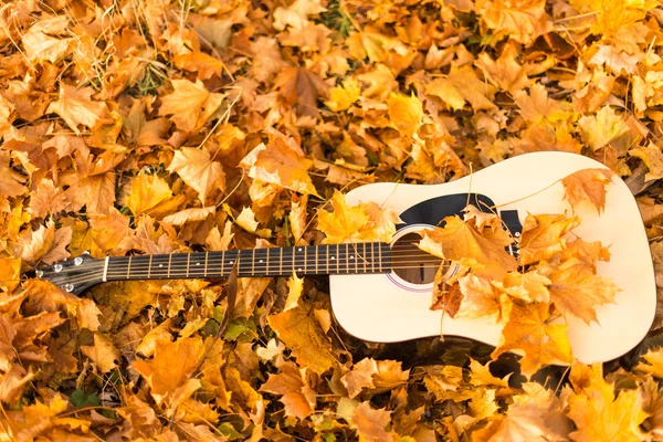 Guitarra en hojas de otoño — Foto de Stock