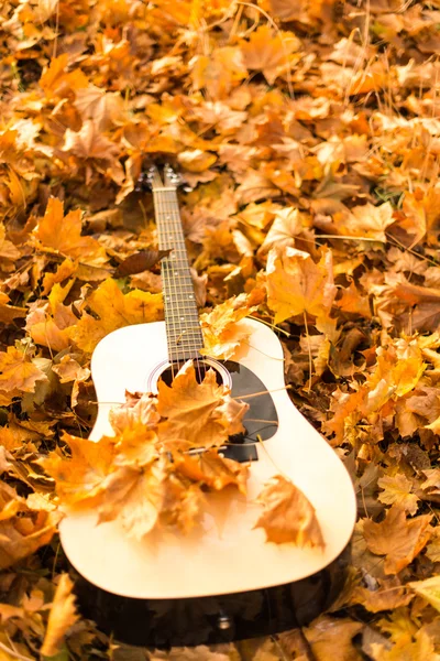 Guitarra en hojas de otoño — Foto de Stock